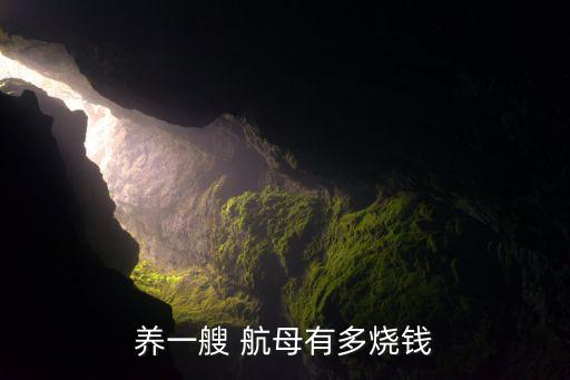 中國建造航母鐵會(huì)漲價(jià)嗎,中國將建造多少航母