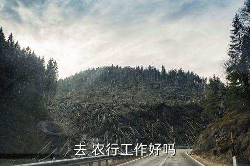 去 農行工作好嗎