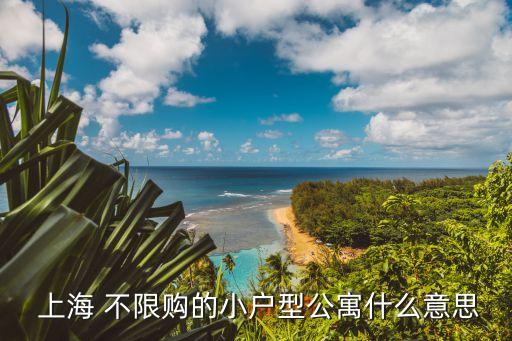  上海 不限購(gòu)的小戶(hù)型公寓什么意思