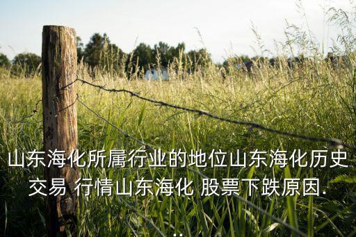 山東海化所屬行業(yè)的地位山東?；瘹v史交易 行情山東?；?股票下跌原因...