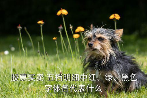  股票買(mǎi)賣(mài) 五檔明細(xì)中紅、綠、黑色字體各代表什么