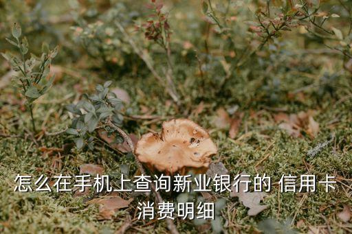 怎么在手機(jī)上查詢(xún)新業(yè)銀行的 信用卡消費(fèi)明細(xì)