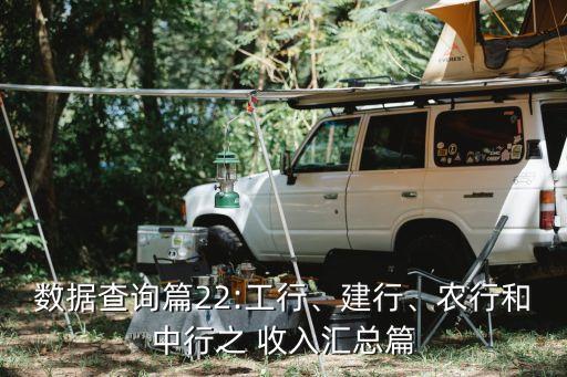 數(shù)據(jù)查詢篇22:工行、建行、農(nóng)行和中行之 收入?yún)R總篇