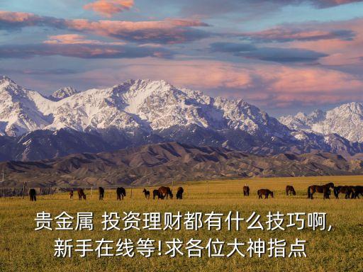 貴金屬 投資理財(cái)都有什么技巧啊,新手在線(xiàn)等!求各位大神指點(diǎn)