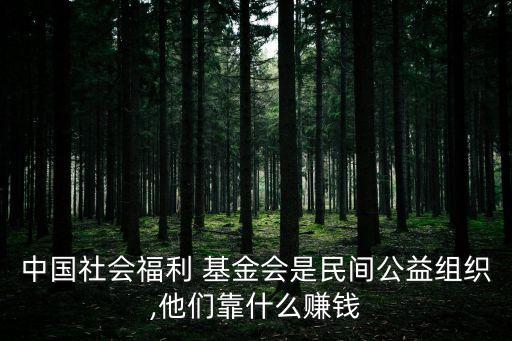 基金會如何盈利,老?；饡渴裁从?/></a></span><span id=