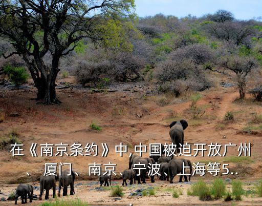 在《南京條約》中,中國被迫開放廣州、 廈門、南京、寧波、上海等5...