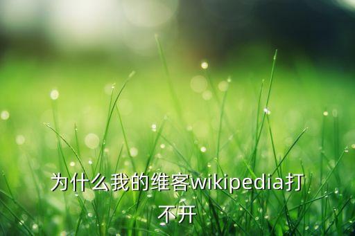 為什么我的維客wikipedia打不開(kāi)