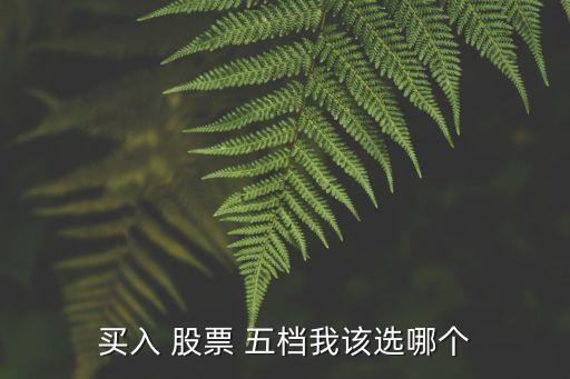 買(mǎi)入 股票 五檔我該選哪個(gè)