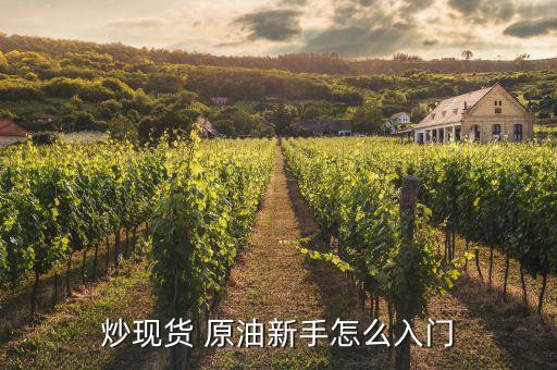 炒現(xiàn)貨 原油新手怎么入門(mén)