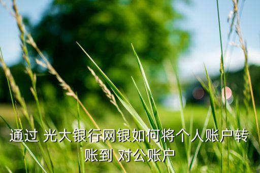 通過(guò) 光大銀行網(wǎng)銀如何將個(gè)人賬戶(hù)轉(zhuǎn)賬到 對(duì)公賬戶(hù)