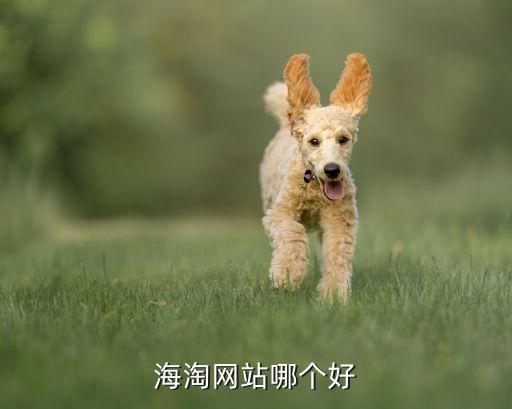 上?？缇畴娚躺鲜泄?跨境電商的上市公司龍頭股