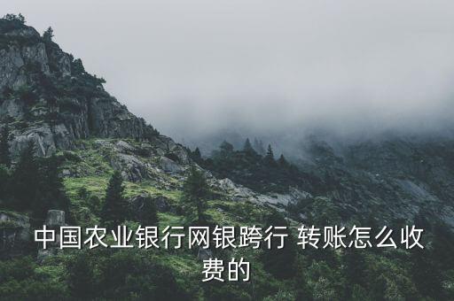  中國農(nóng)業(yè)銀行網(wǎng)銀跨行 轉賬怎么收費的