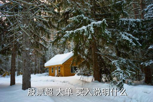  股票超 大單 買入說(shuō)明什么