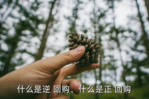 什么是逆 回購(gòu)、什么是正 回購(gòu)
