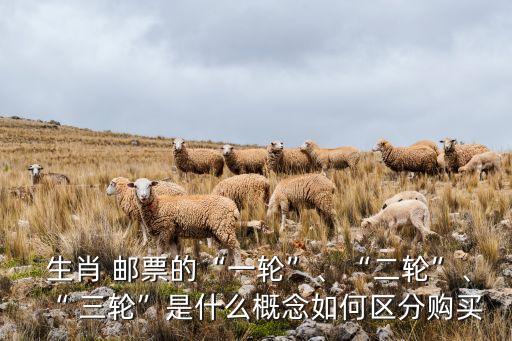  生肖 郵票的“一輪”、“二輪”、“ 三輪”是什么概念如何區(qū)分購買