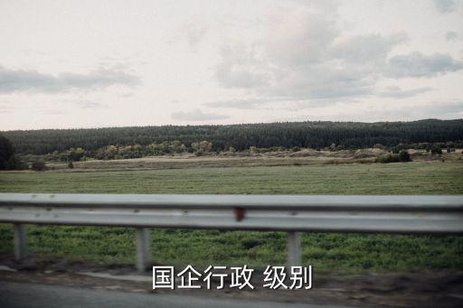 國企行政 級(jí)別