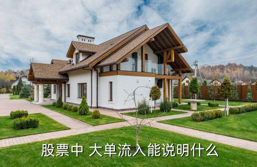 股票中 大單流入能說(shuō)明什么