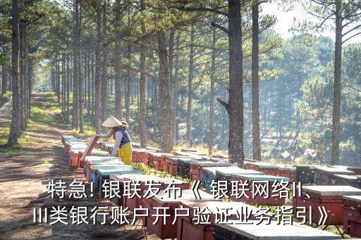 特急! 銀聯(lián)發(fā)布《 銀聯(lián)網絡II、III類銀行賬戶開戶驗證業(yè)務指引》
