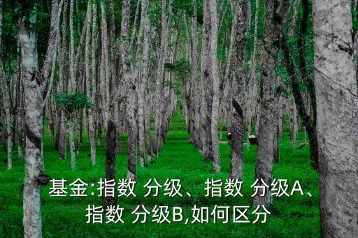  基金:指數(shù) 分級(jí)、指數(shù) 分級(jí)A、指數(shù) 分級(jí)B,如何區(qū)分