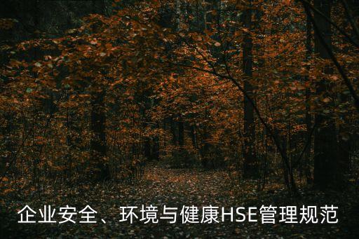 企業(yè)安全、環(huán)境與健康HSE管理規(guī)范