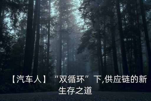 【汽車(chē)人】“雙循環(huán)”下,供應(yīng)鏈的新生存之道