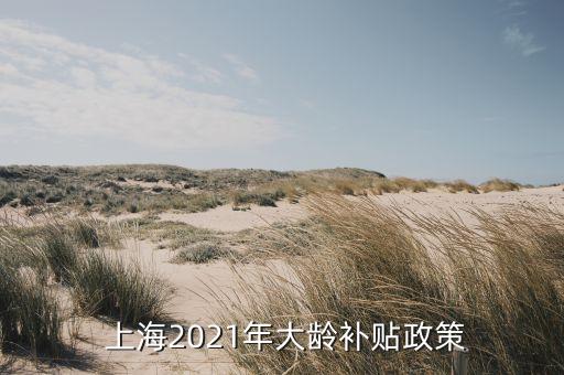 上海康年養(yǎng)老,康年養(yǎng)老服務(wù)有限公司