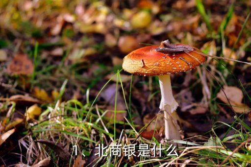 1、北商銀是什么