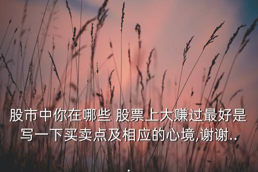 股市中你在哪些 股票上大賺過(guò)最好是寫一下買賣點(diǎn)及相應(yīng)的心境,謝謝...