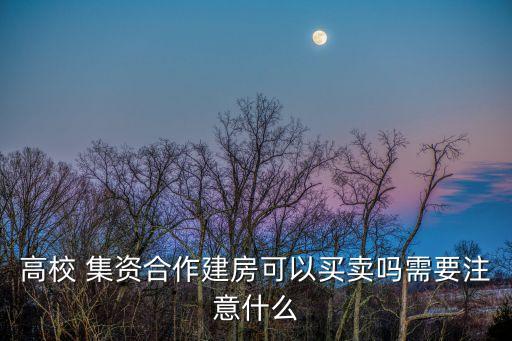 高校 集資合作建房可以買(mǎi)賣嗎需要注意什么