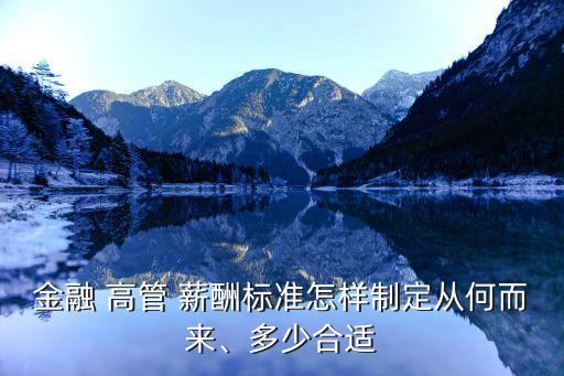 金融 高管 薪酬標(biāo)準(zhǔn)怎樣制定從何而來、多少合適