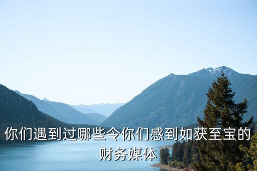 你們遇到過哪些令你們感到如獲至寶的財務(wù)媒體