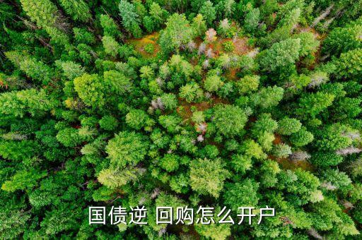 國(guó)債逆 回購(gòu)怎么開戶