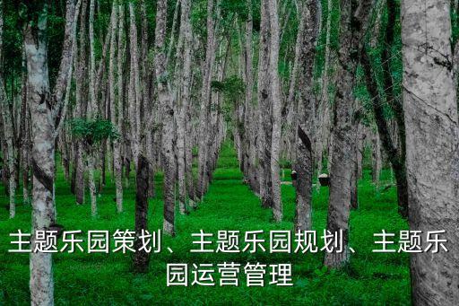 主題樂園策劃、主題樂園規(guī)劃、主題樂園運營管理