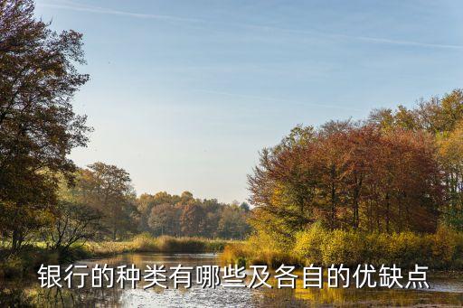  銀行的種類(lèi)有哪些及各自的優(yōu)缺點(diǎn)