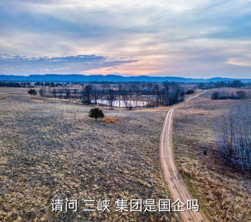 請(qǐng)問 三峽 集團(tuán)是國(guó)企嗎