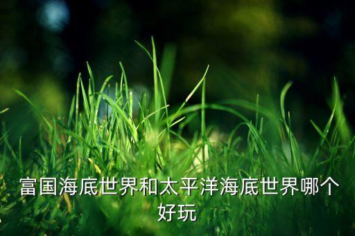  富國海底世界和太平洋海底世界哪個(gè)好玩