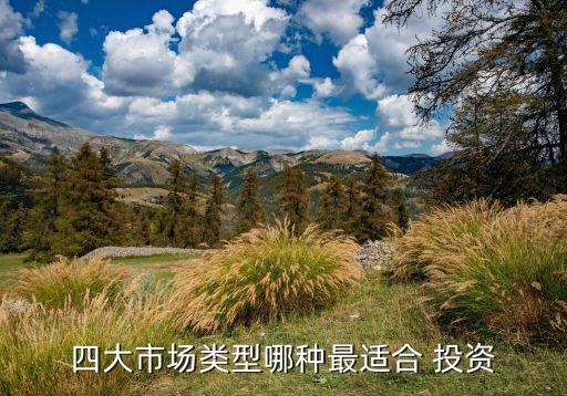 四大市場(chǎng)類(lèi)型哪種最適合 投資