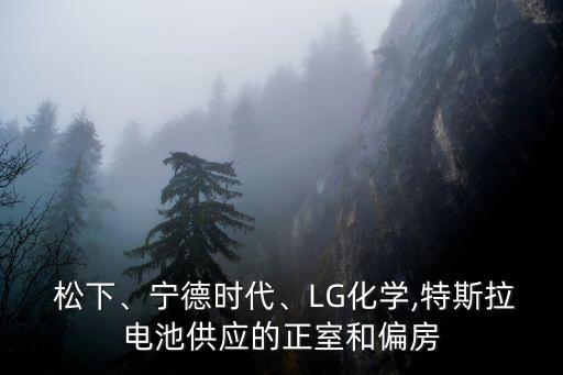  松下、寧德時(shí)代、LG化學(xué),特斯拉電池供應(yīng)的正室和偏房