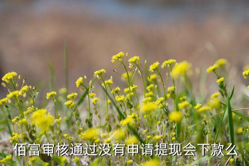  佰富審核通過(guò)沒有申請(qǐng)?zhí)岈F(xiàn)會(huì)下款么