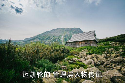 戴姆勒公司管理層,福田戴姆勒汽車(chē)公司
