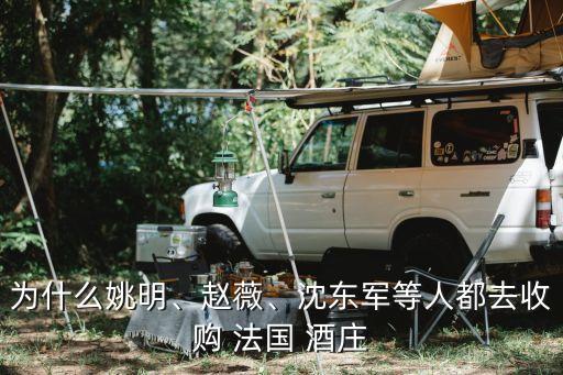 為什么姚明、趙薇、沈東軍等人都去收購 法國 酒莊
