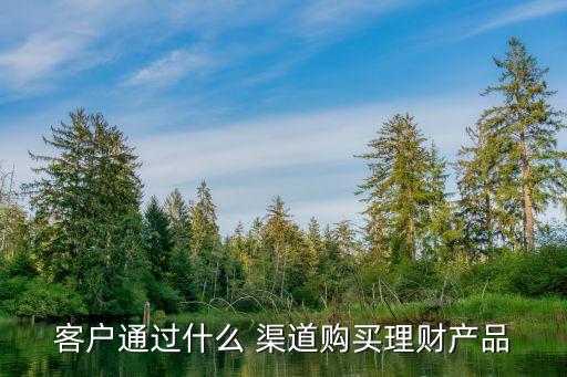 客戶通過什么 渠道購(gòu)買理財(cái)產(chǎn)品