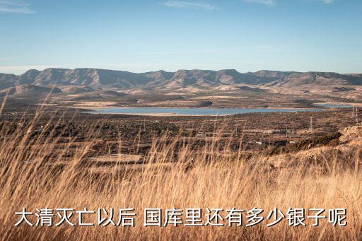 大清滅亡以后 國(guó)庫里還有多少銀子呢