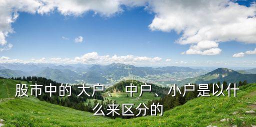 股市中的 大戶、 中戶、小戶是以什么來區(qū)分的
