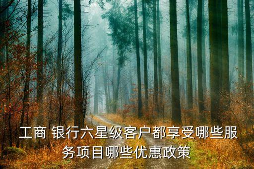 工商 銀行六星級客戶都享受哪些服務(wù)項(xiàng)目哪些優(yōu)惠政策