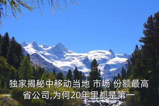 中國移動(dòng)的市場份額