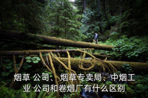  煙草 公司、 煙草專賣局、中煙工業(yè) 公司和卷煙廠有什么區(qū)別