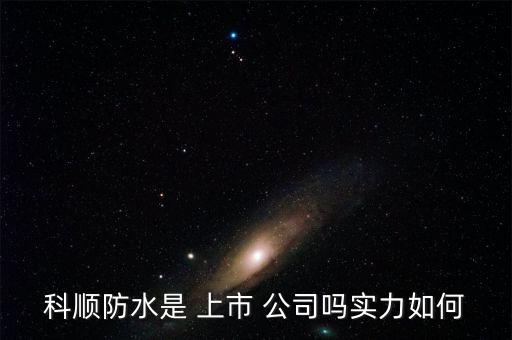 科順?lè)浪?上市 公司嗎實(shí)力如何