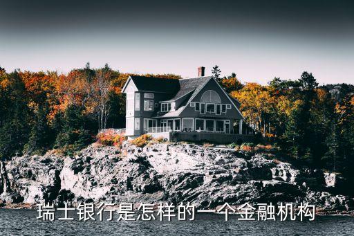 瑞士銀行是怎樣的一個金融機構
