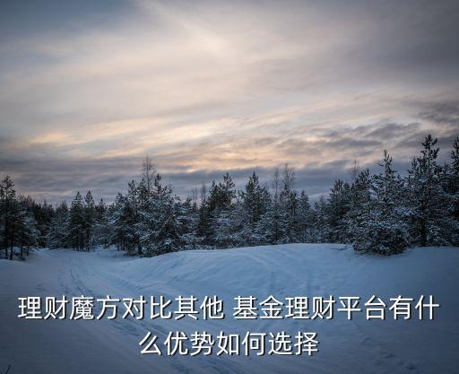 理財(cái)魔方對(duì)比其他 基金理財(cái)平臺(tái)有什么優(yōu)勢如何選擇